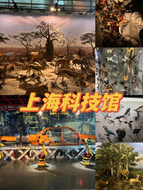 上海科技馆好玩吗，上海科技馆好玩吗点评-第1张图片-柯迪百科