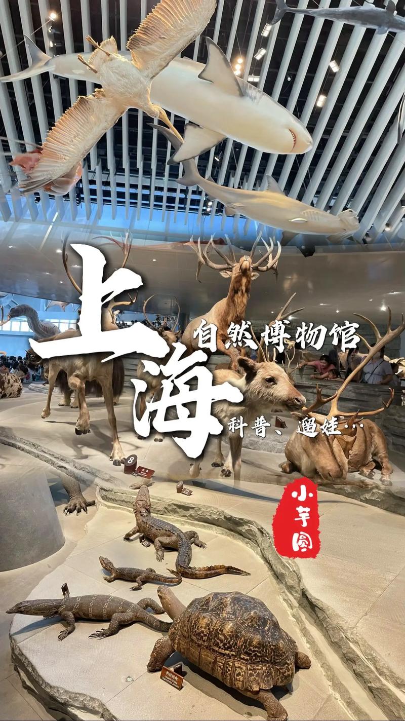 上海科技馆好玩吗，上海科技馆好玩吗点评-第3张图片-柯迪百科