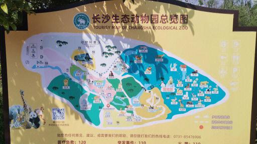 长沙生态动物园门票，长沙生态动物园门票费用？-第6张图片-柯迪百科