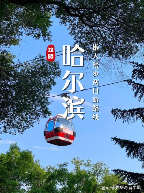 哈尔滨疫情出行,哈尔滨疫情出行政策查询平台-第1张图片-柯迪百科 哈尔滨疫情出行,哈尔滨疫情出行政策查询平台-第1张图片-柯迪百科