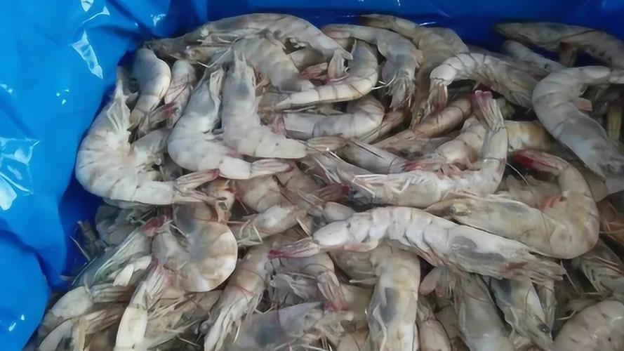 厄瓜多尔疫情怎样,厄瓜多尔疫情实时动态?-第2张图片-柯迪百科 厄瓜多尔疫情怎样,厄瓜多尔疫情实时动态?-第2张图片-柯迪百科