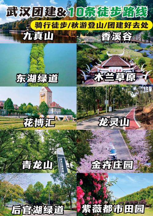 武汉森林公园，武汉森林公园烧烤全攻略？-第4张图片-柯迪百科