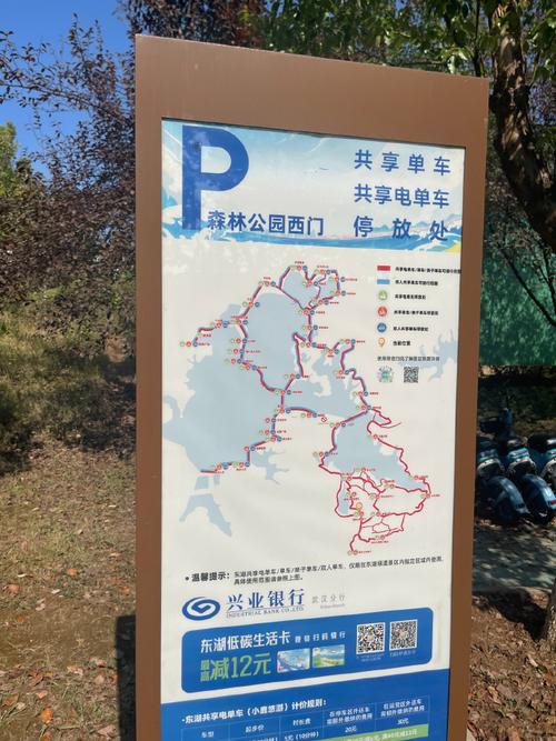 武汉森林公园，武汉森林公园烧烤全攻略？-第5张图片-柯迪百科