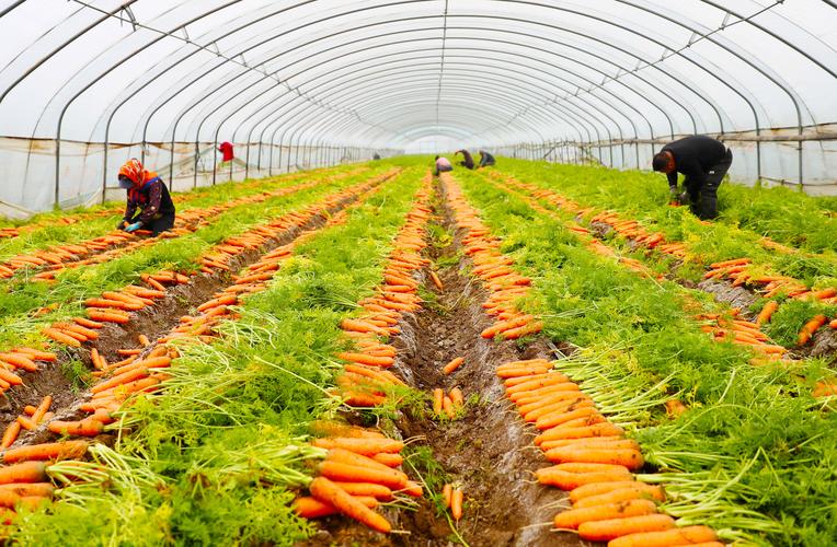 莱西疫情最新消息?莱西新冠肺炎最新消息?-第2张图片-柯迪百科 莱西疫情最新消息?莱西新冠肺炎最新消息?-第2张图片-柯迪百科