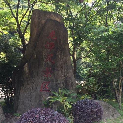 福州国家森林公园,福州国家森林公园樱花开了吗?-第6张图片-柯迪百科 福州国家森林公园,福州国家森林公园樱花开了吗?-第6张图片-柯迪百科