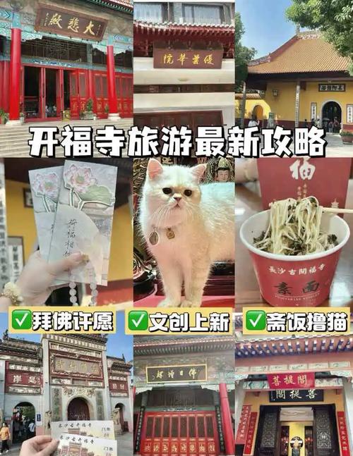 长沙疫情最新消息今天开，长沙疫情最新报道？
