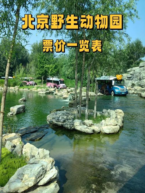 北京野生动物园门票，大兴北京野生动物园门票-第5张图片-柯迪百科