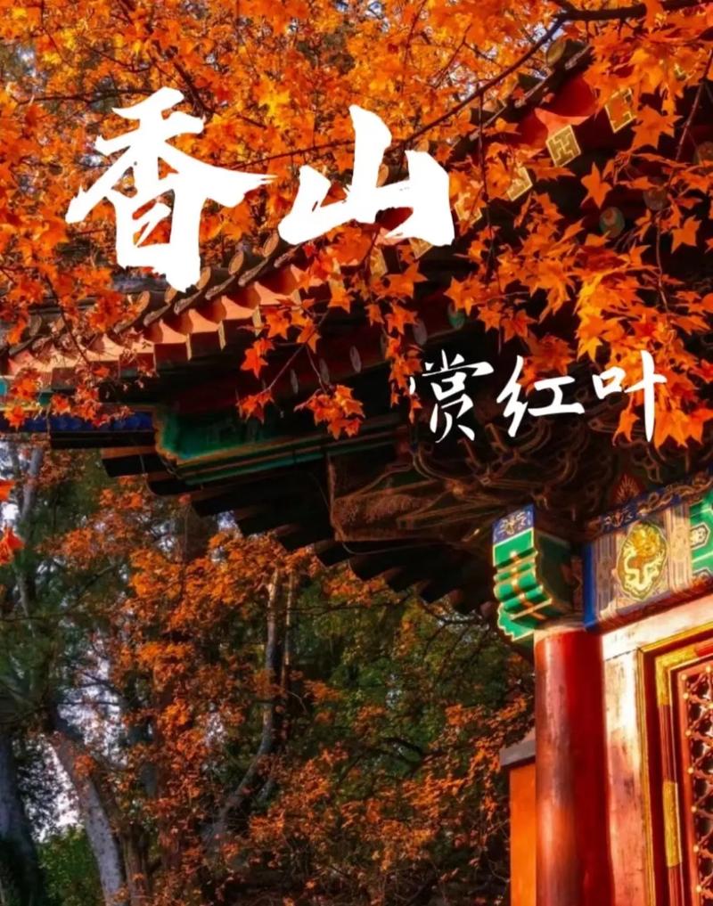 香山红叶什么时间最红,香山红叶几月份最红-第2张图片-柯迪百科 香山红叶什么时间最红,香山红叶几月份最红-第2张图片-柯迪百科
