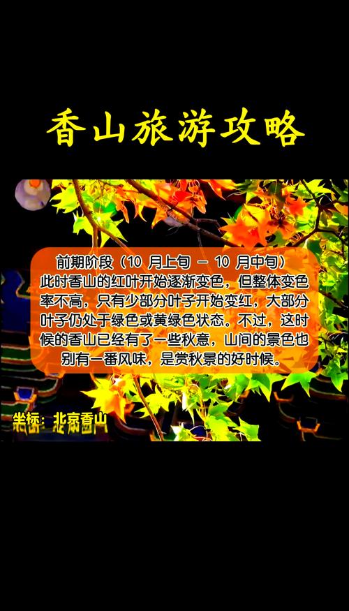 香山红叶什么时间最红,香山红叶几月份最红-第5张图片-柯迪百科 香山红叶什么时间最红,香山红叶几月份最红-第5张图片-柯迪百科