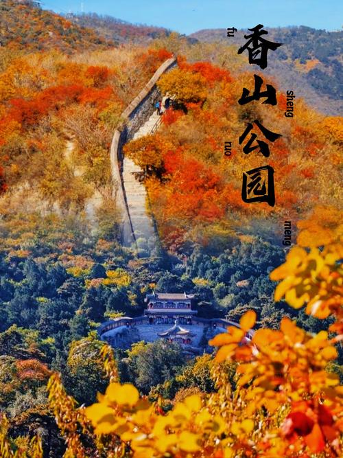 香山红叶什么时间最红,香山红叶几月份最红-第6张图片-柯迪百科 香山红叶什么时间最红,香山红叶几月份最红-第6张图片-柯迪百科