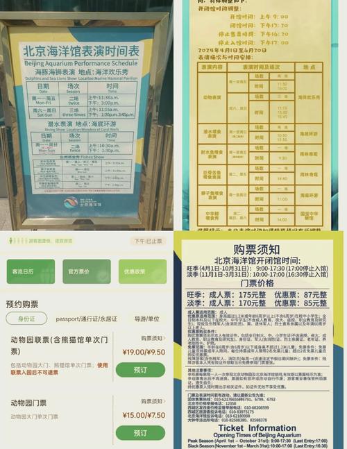 北京海洋馆门票，北京海洋馆门票60岁以上有优惠吗?-第5张图片-柯迪百科