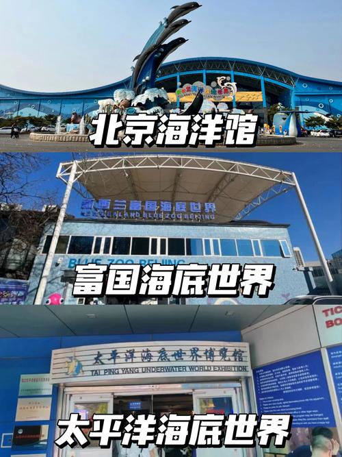 北京海洋馆门票，北京海洋馆门票60岁以上有优惠吗?-第7张图片-柯迪百科