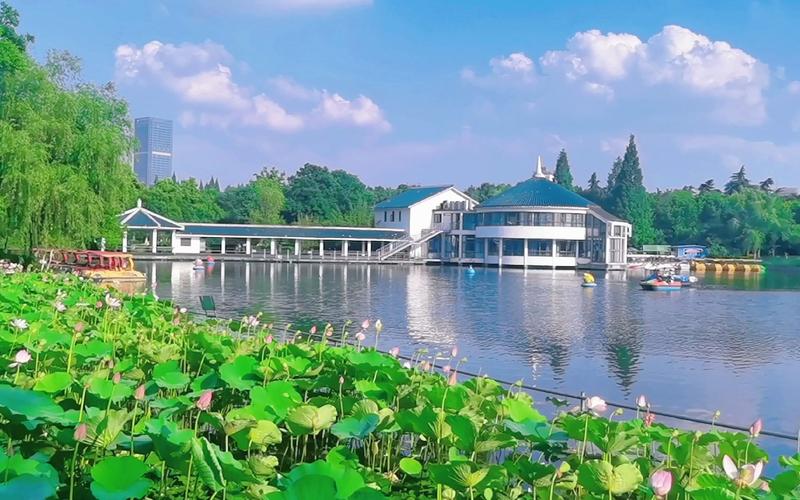 合肥杏花公园,合肥杏花公园相亲角在哪个位置-第5张图片-柯迪百科 合肥杏花公园,合肥杏花公园相亲角在哪个位置-第5张图片-柯迪百科
