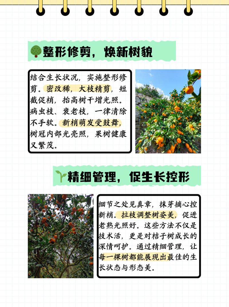 梨树一周天气预报,梨树15天气预报-第2张图片-柯迪百科 梨树一周天气预报,梨树15天气预报-第2张图片-柯迪百科