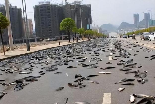 繁昌天气预报四十天？繁昌天气预报2345？