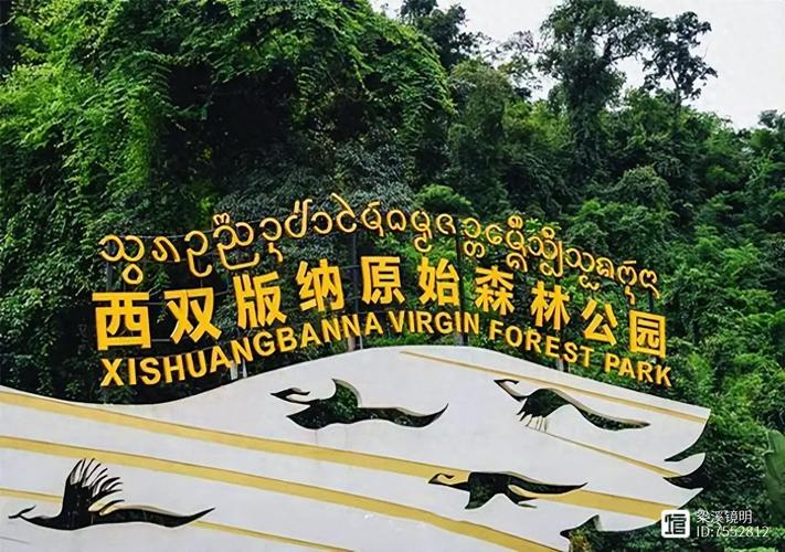 原始森林公园，原始森林公园玩几个小时