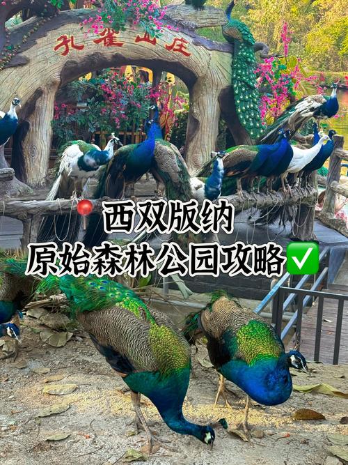 原始森林公园,原始森林公园玩几个小时-第2张图片-柯迪百科 原始森林公园,原始森林公园玩几个小时-第2张图片-柯迪百科