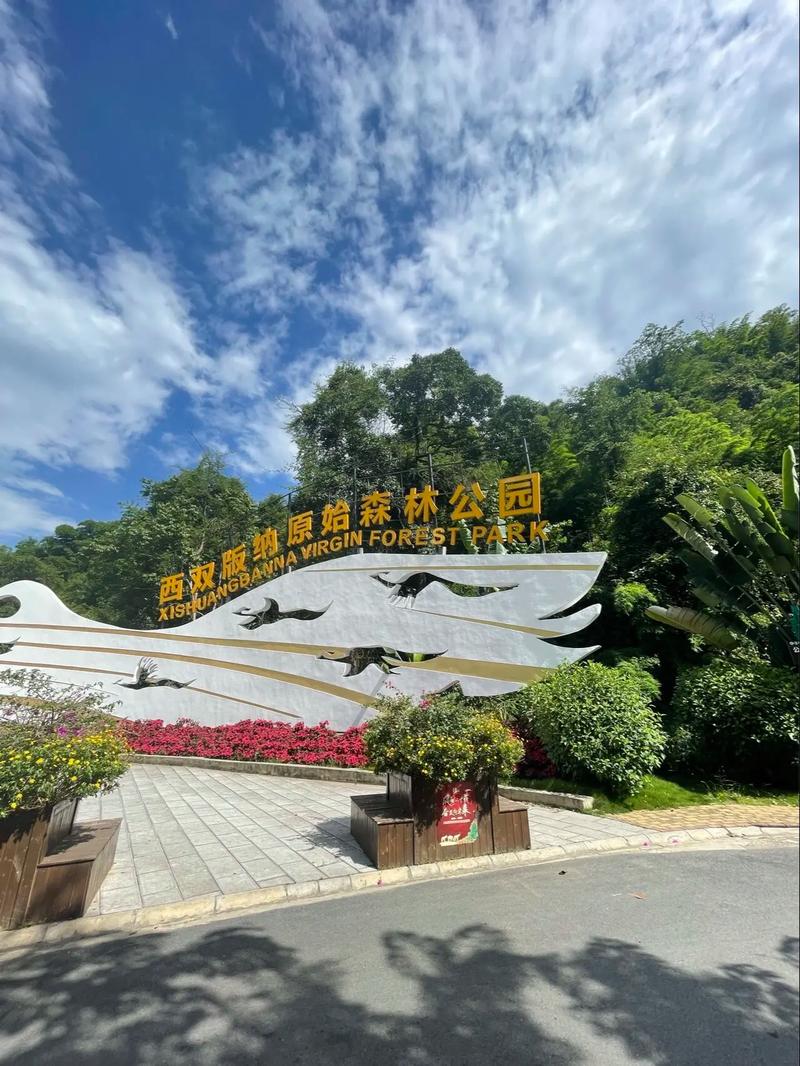 原始森林公园,原始森林公园玩几个小时-第5张图片-柯迪百科 原始森林公园,原始森林公园玩几个小时-第5张图片-柯迪百科
