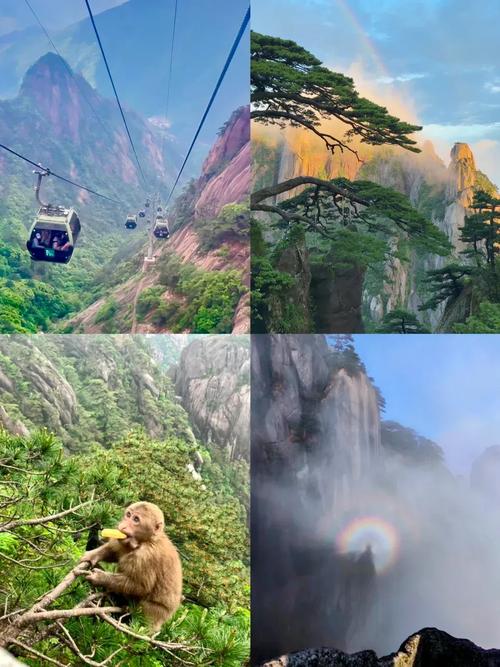 黄山天气怎么这么热?夏天黄山热吗??-第5张图片-柯迪百科 黄山天气怎么这么热?夏天黄山热吗??-第5张图片-柯迪百科