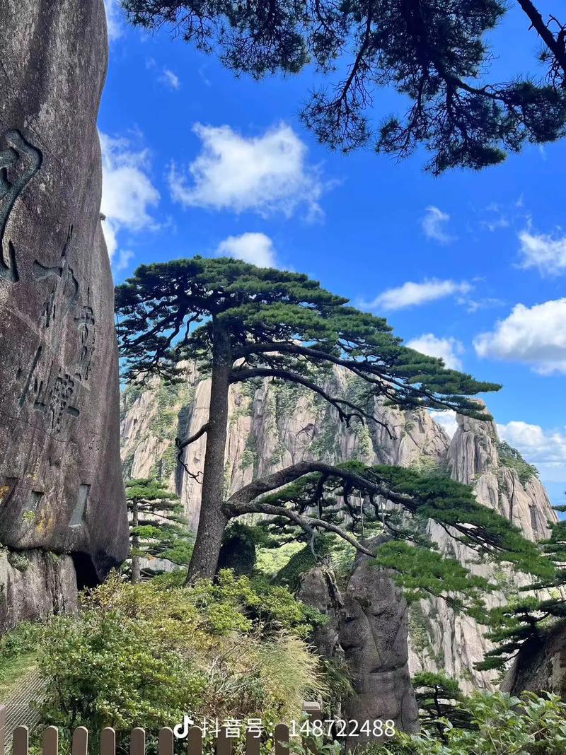 黄山天气怎么这么热?夏天黄山热吗??-第6张图片-柯迪百科 黄山天气怎么这么热?夏天黄山热吗??-第6张图片-柯迪百科
