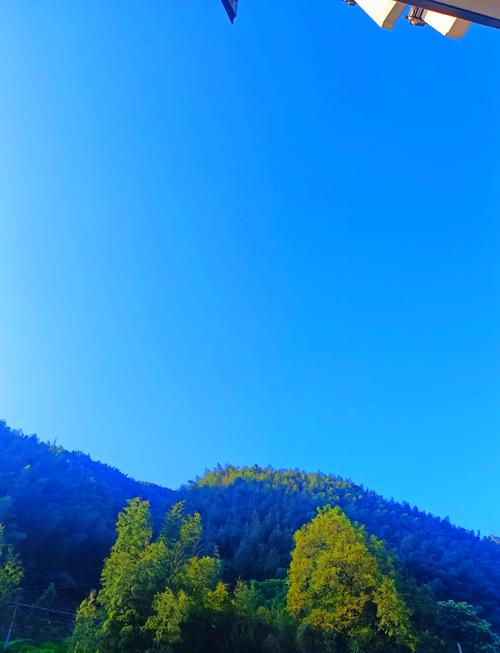黄山天气怎么这么热?夏天黄山热吗??-第7张图片-柯迪百科 黄山天气怎么这么热?夏天黄山热吗??-第7张图片-柯迪百科