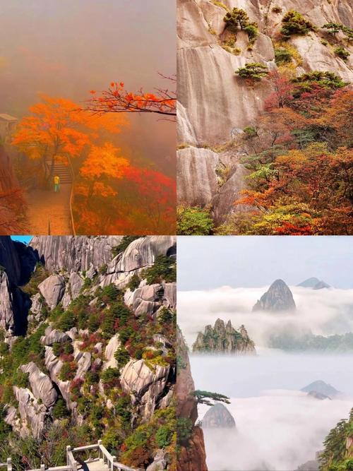 黄山天气怎么这么热?夏天黄山热吗??-第8张图片-柯迪百科 黄山天气怎么这么热?夏天黄山热吗??-第8张图片-柯迪百科
