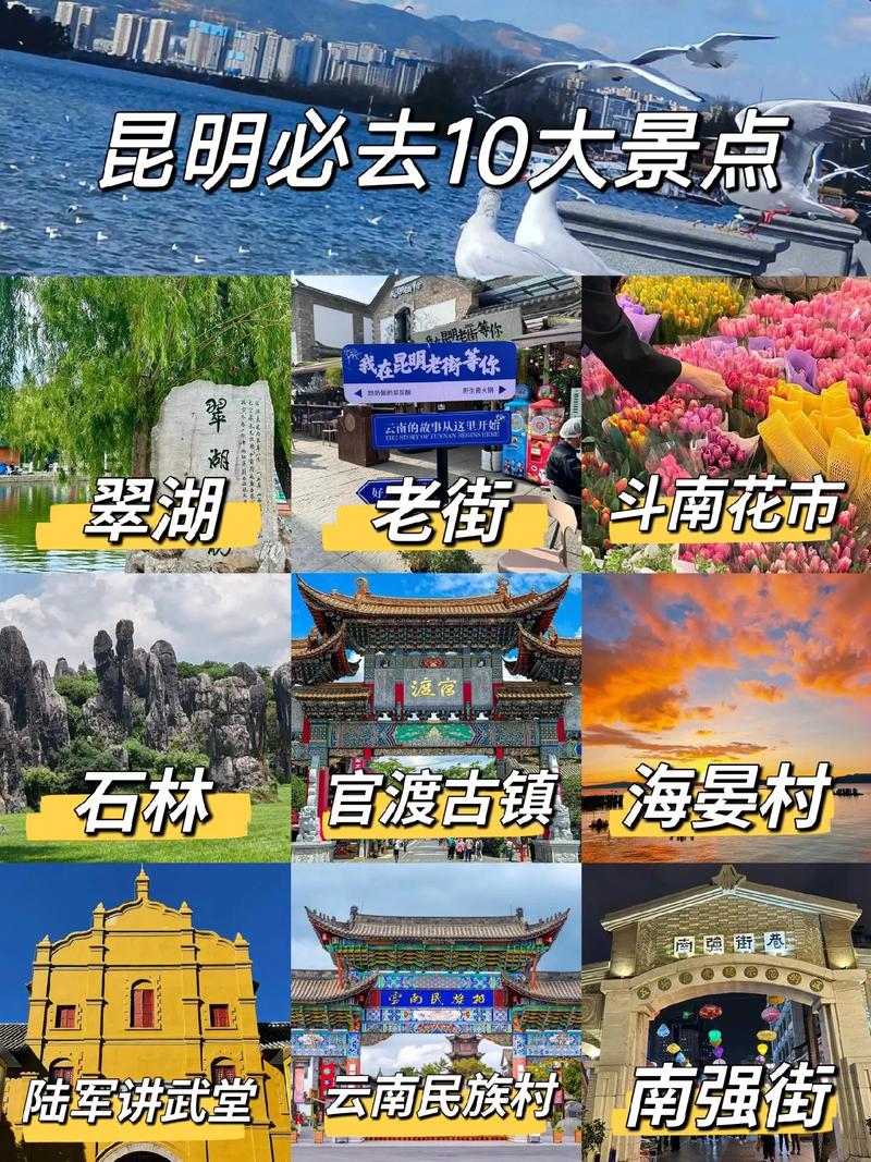 昆明有什么好玩的地方,昆明有什么玩的-第8张图片-柯迪百科 昆明有什么好玩的地方,昆明有什么玩的-第8张图片-柯迪百科