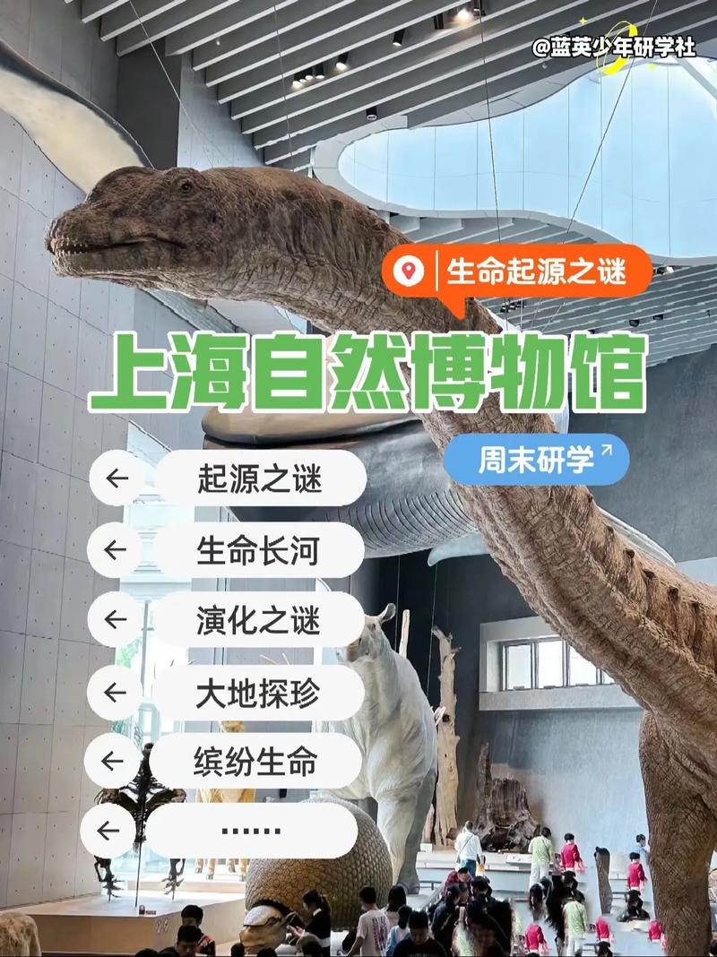 上海自然博物馆,上海自然博物馆开放时间-第2张图片-柯迪百科 上海自然博物馆,上海自然博物馆开放时间-第2张图片-柯迪百科