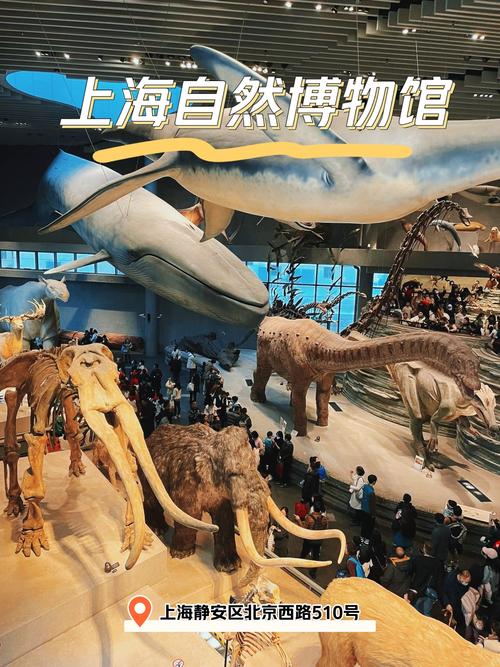 上海自然博物馆,上海自然博物馆开放时间-第4张图片-柯迪百科 上海自然博物馆,上海自然博物馆开放时间-第4张图片-柯迪百科