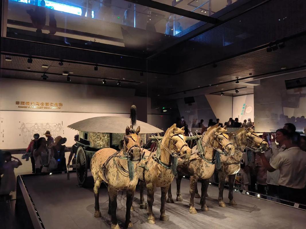 兵马俑博物馆?兵马俑博物馆的蓝田玉值得买吗?-第5张图片-柯迪百科 兵马俑博物馆?兵马俑博物馆的蓝田玉值得买吗?-第5张图片-柯迪百科