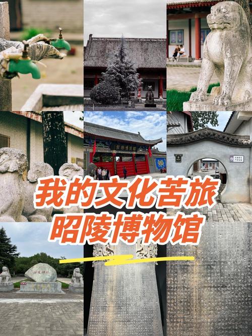 昭陵博物馆,昭陵博物馆镇馆之宝?-第3张图片-柯迪百科 昭陵博物馆,昭陵博物馆镇馆之宝?-第3张图片-柯迪百科