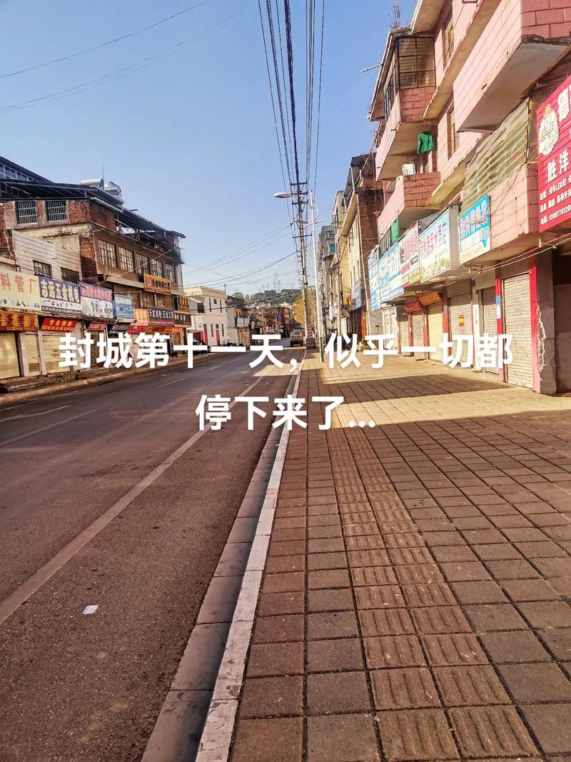 杭州疫情最新情况，杭州疫情最新情况发布？-第2张图片-柯迪百科