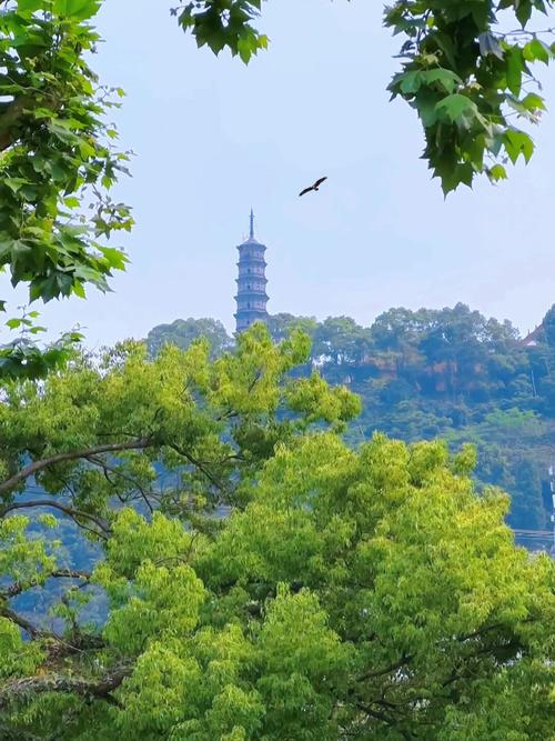 辽宁塔山天气预报,辽宁塔山风景区?-第5张图片-柯迪百科 辽宁塔山天气预报,辽宁塔山风景区?-第5张图片-柯迪百科