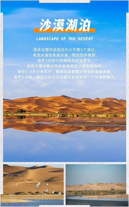 腾格里沙漠，腾格里沙漠在哪里？-第2张图片-柯迪百科