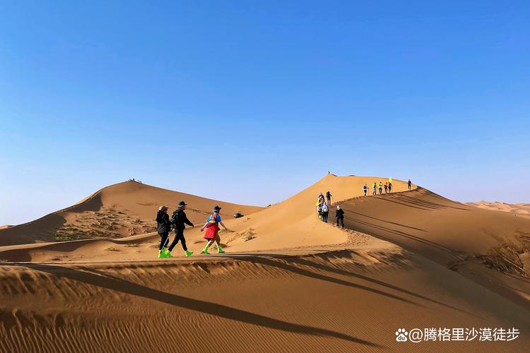 腾格里沙漠，腾格里沙漠在哪里？-第6张图片-柯迪百科