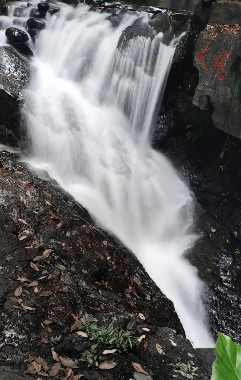 清远古龙峡漂流?清远古龙峡漂流现在开放吗?-第6张图片-柯迪百科 清远古龙峡漂流?清远古龙峡漂流现在开放吗?-第6张图片-柯迪百科