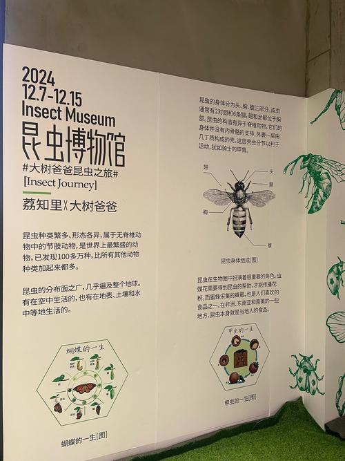 上海昆虫博物馆？上海昆虫博物馆门票预约？-第8张图片-柯迪百科
