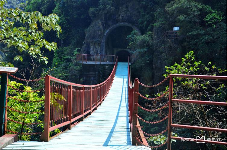 旗山国家森林公园？旗山国家森林公园要门票吗？
