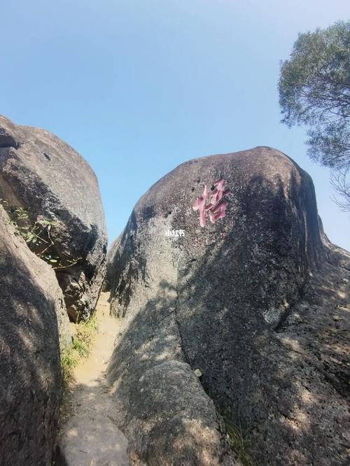 旗山国家森林公园?旗山国家森林公园要门票吗?-第2张图片-柯迪百科 旗山国家森林公园?旗山国家森林公园要门票吗?-第2张图片-柯迪百科