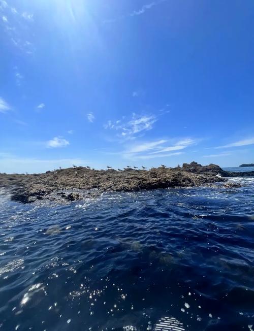 大连金石滩旅游攻略,大连金石滩旅游攻略一日游路线?-第2张图片-柯迪百科 大连金石滩旅游攻略,大连金石滩旅游攻略一日游路线?-第2张图片-柯迪百科