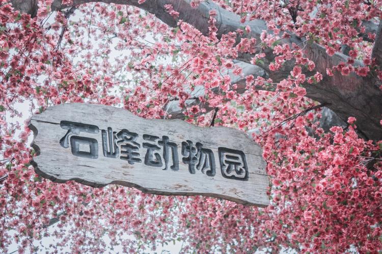 湖南株洲石峰天气？湖南株洲石峰天气预报？