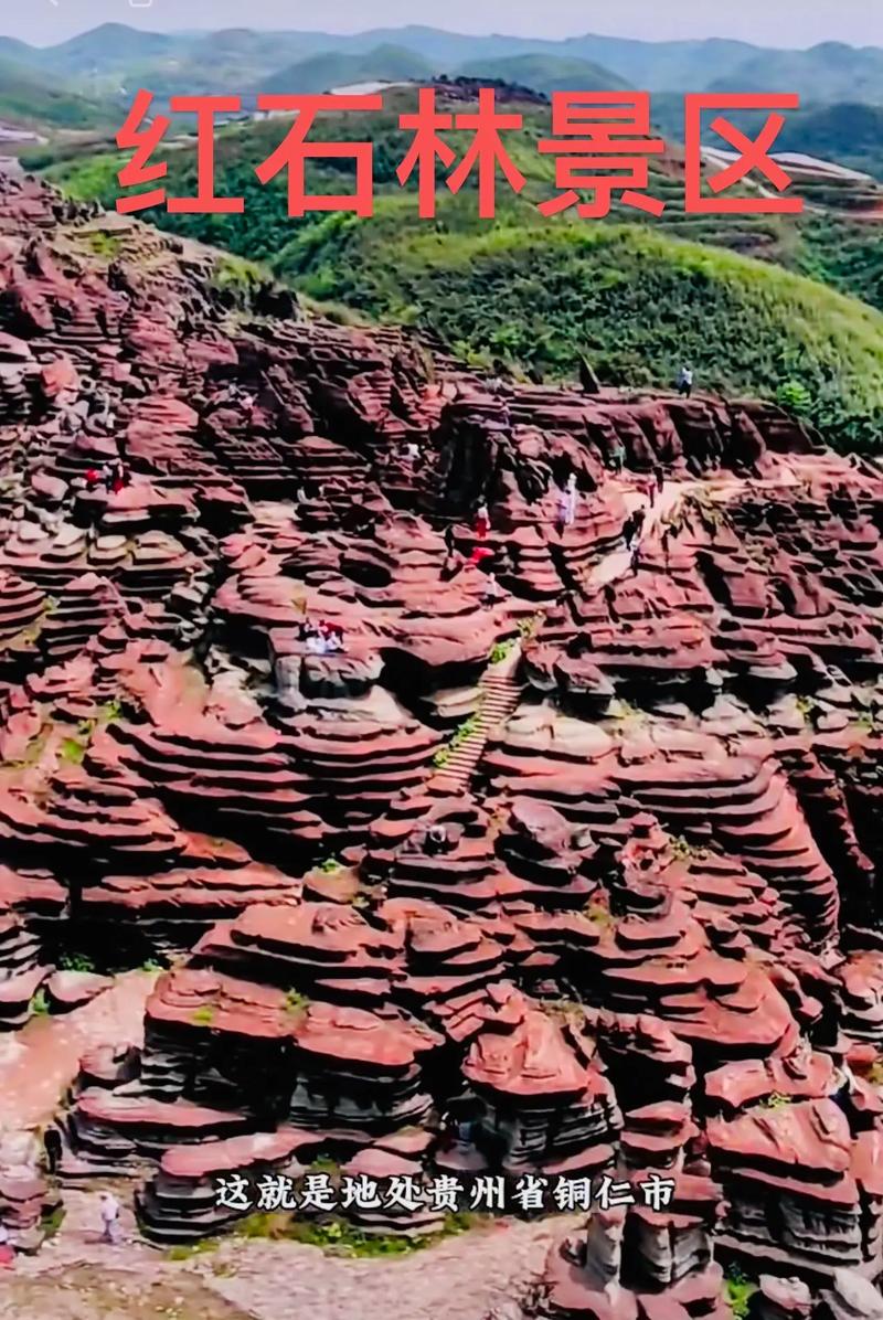 湖南株洲石峰天气？湖南株洲石峰天气预报？-第6张图片-柯迪百科