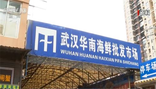 武汉疫情及全国疫情,武汉疫情具体情况?-第4张图片-柯迪百科 武汉疫情及全国疫情,武汉疫情具体情况?-第4张图片-柯迪百科