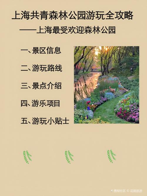 共青森林公园，共青森林公园哪个门进去最美-第3张图片-柯迪百科