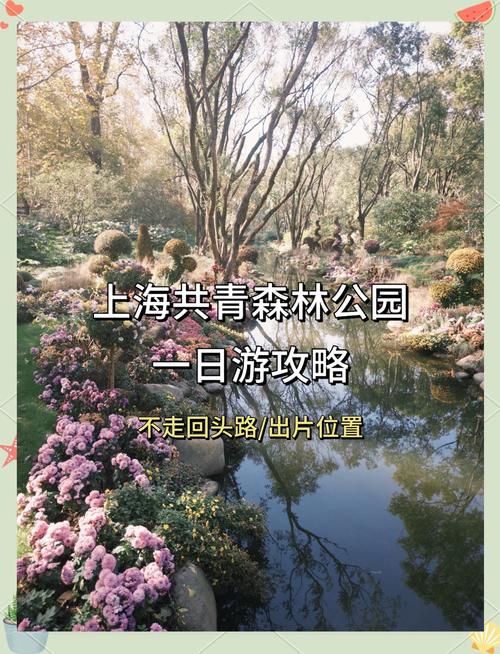 共青森林公园，共青森林公园哪个门进去最美-第4张图片-柯迪百科