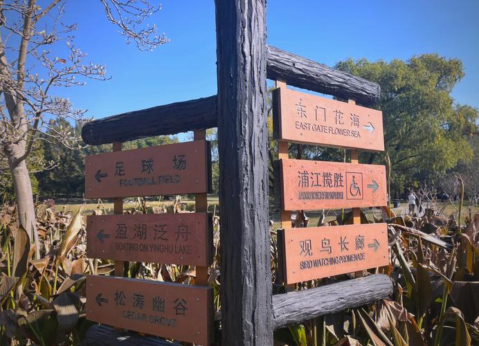 共青森林公园，共青森林公园哪个门进去最美-第5张图片-柯迪百科