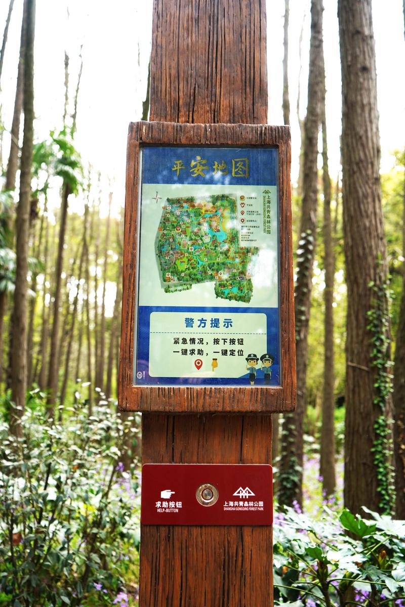 共青森林公园，共青森林公园哪个门进去最美-第6张图片-柯迪百科