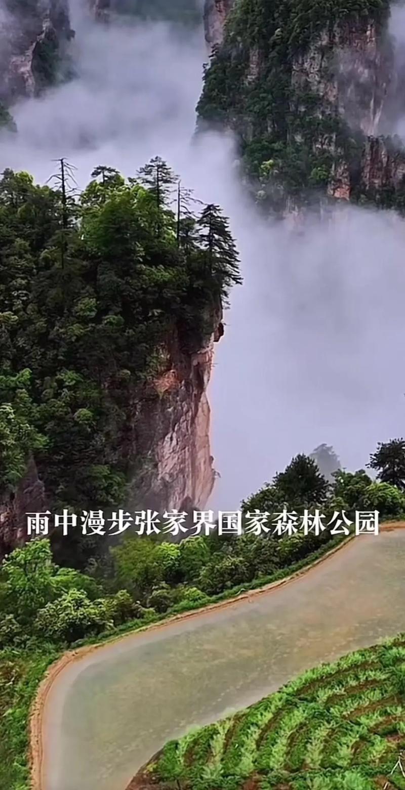 天门最新天气预报?天门最新天气预报今天?-第4张图片-柯迪百科 天门最新天气预报?天门最新天气预报今天?-第4张图片-柯迪百科