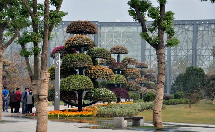 徐州植物园?徐州植物园门票多少钱?-第5张图片-柯迪百科 徐州植物园?徐州植物园门票多少钱?-第5张图片-柯迪百科