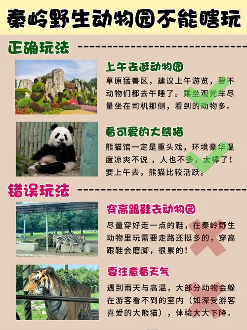 秦岭野生动物园官方网站，西安秦岭野生动物园官方网站-第4张图片-柯迪百科